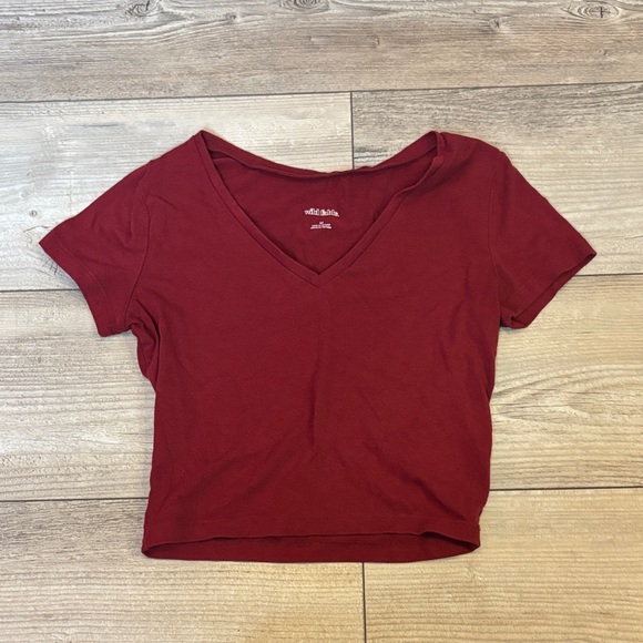 wild fable Tops - Wild Fable Maroon V-Neck Crop Top